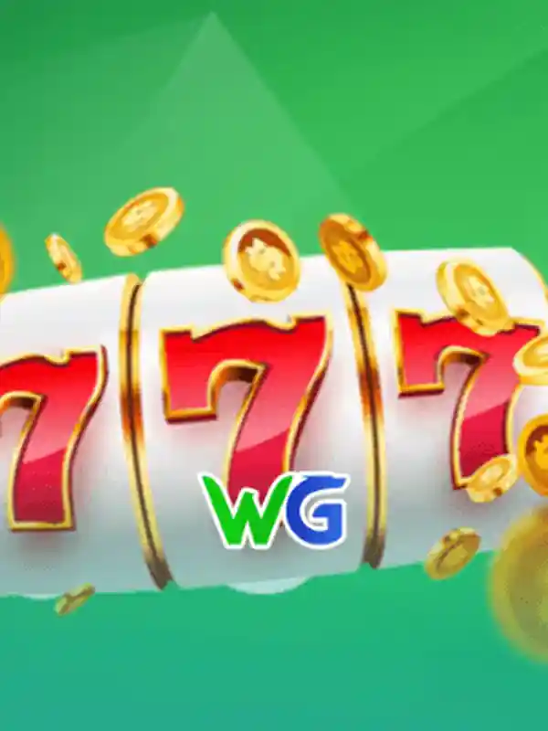 WG স্লট